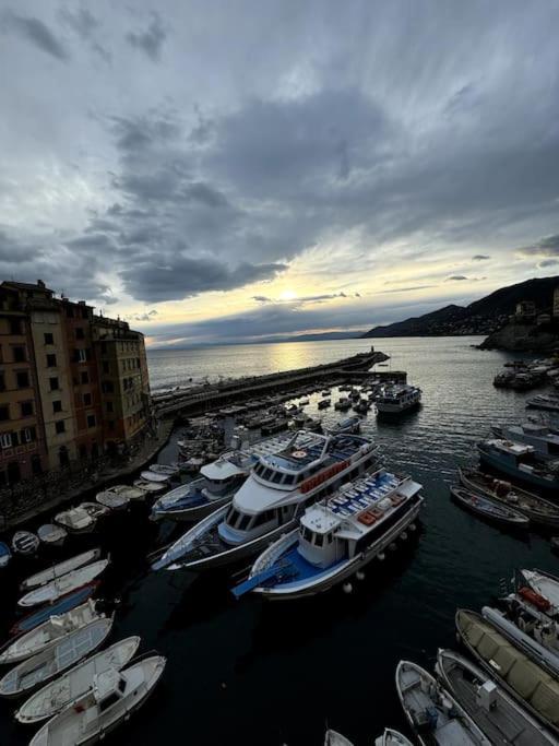 Attico Sul Porticciolo Antico Di Camogli Apartamento Exterior foto